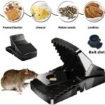 Mouse Trap